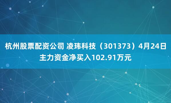 杭州股票配资公司 凌玮科技（301373）4月24日主力资金净买入102.91万元