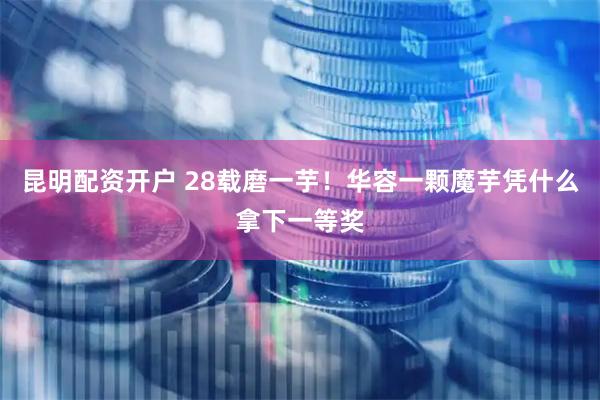 昆明配资开户 28载磨一芋！华容一颗魔芋凭什么拿下一等奖